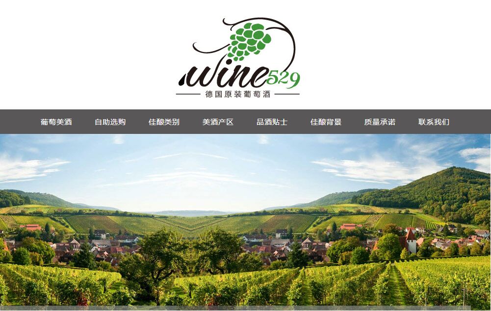  為什么你的網(wǎng)站沒人進(jìn)？來看看真正的好網(wǎng)站，別讓自己輸在起跑 wine529